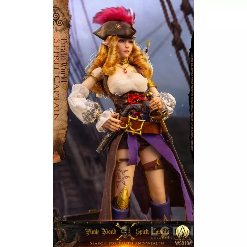 Pirate World Spirit Captain Aisha (Elsa) Collectible Action Figurine 1/6 War Story WS018A