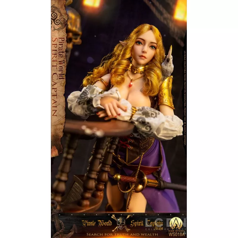 Pirate World Spirit Captain Aisha (Elsa) Collectible Action Figurine 1/6 War Story WS018A