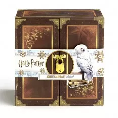 Harry Potter Calendrier de l'Avent 2023 Gift Box "Potions"