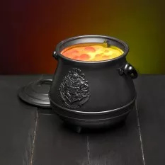 Harry Potter Cauldron Lamp...