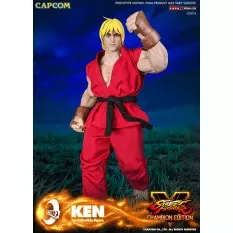 Street Fighter Collectible...