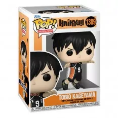 Haikyu!! POP! Animation...