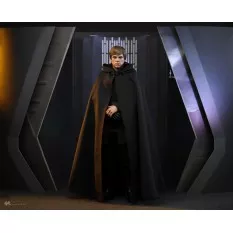 Hot Toys DX22 Star Wars The Mandalorian Collectible Action Figurine 1/6 Luke Skywalker 28cm
