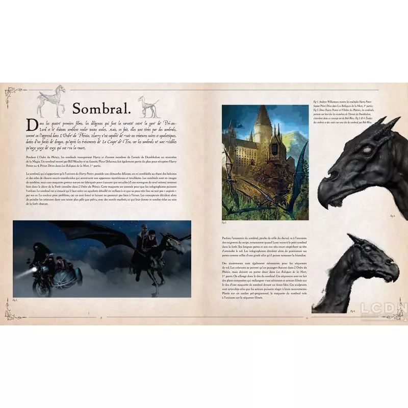 Harry Potter Artbook Le Grand Livre des Créatures *French*
