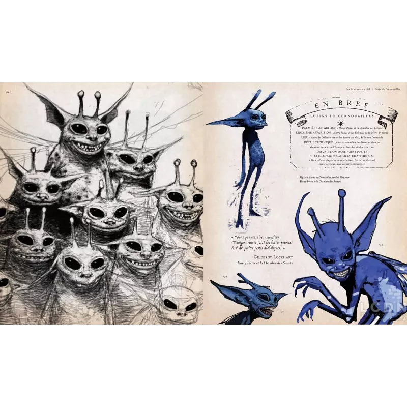 Harry Potter Artbook Le Grand Livre des Créatures *French*