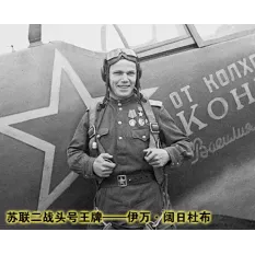 WWII Soviet Air Force Ace Pilot Collectible Action Figure 1/6 Alert Line AL100041