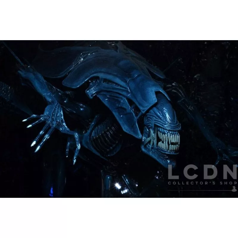 Aliens Action Figurine Xenomorph Alien Queen Deluxe Boxed 38cm / 76cm long