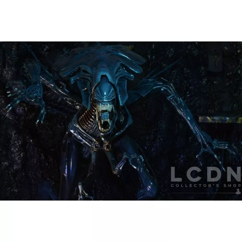 Aliens Action Figurine Xenomorph Alien Queen Deluxe Boxed 38cm / 76cm long
