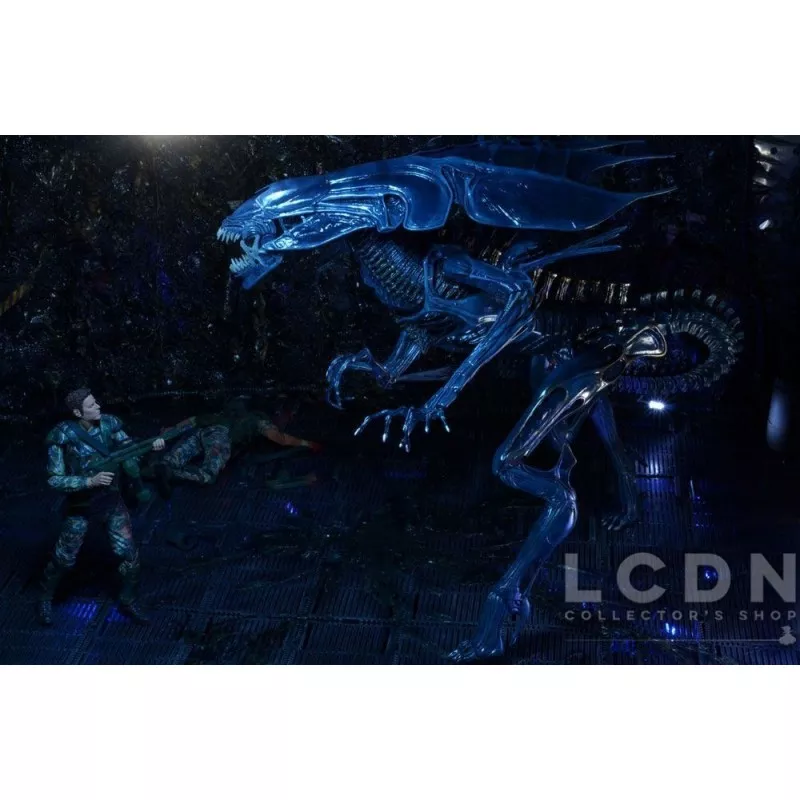 Aliens Action Figurine Xenomorph Alien Queen Deluxe Boxed 38cm / 76cm long