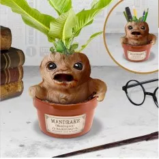 Harry Potter Shaped Plant...