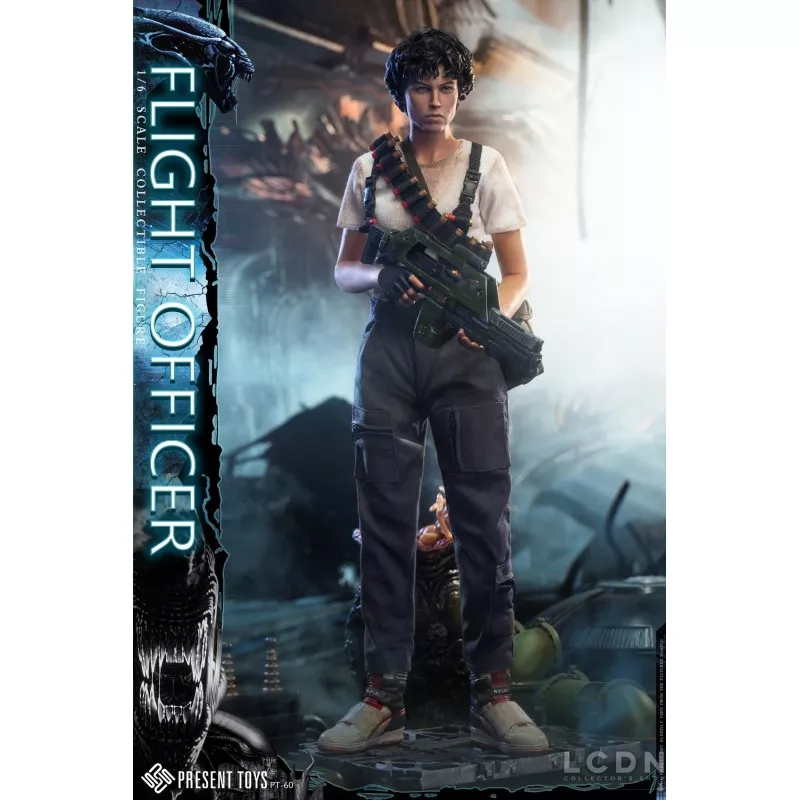 Flight Officer Collectible Action Figure 1/6 PRESENT TOYS PT Flight Officer Collectible Action Figure 1/6 PRESENT TOYS PT