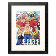 One Piece Collector Print...