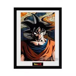 Dragonball Z Framed Poster...