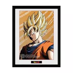 Dragon Ball Z Framed Poster...