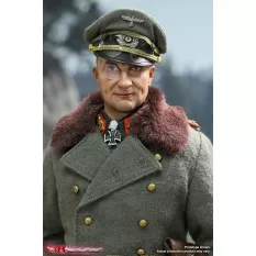 WWII General Field Marshal Collectible Action Figurine 1/6 Walter Model 3R GM652