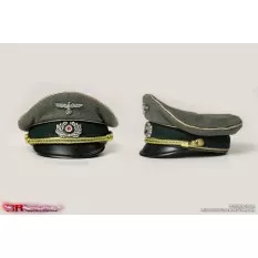 WWII General Field Marshal Collectible Action Figurine 1/6 Walter Model 3R GM652