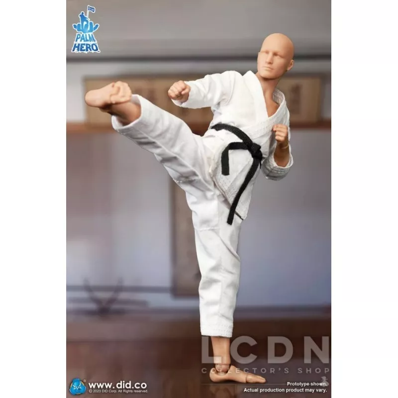 Simple Fun Series The Karate Player Action Figure 1 12 DID SF80001