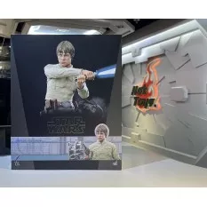 Hot Toys DX25 Star Wars V Collectible Action Figurine 1/6 Luke Skywalker (Bespin) Deluxe Version 28cm (Neuf)
