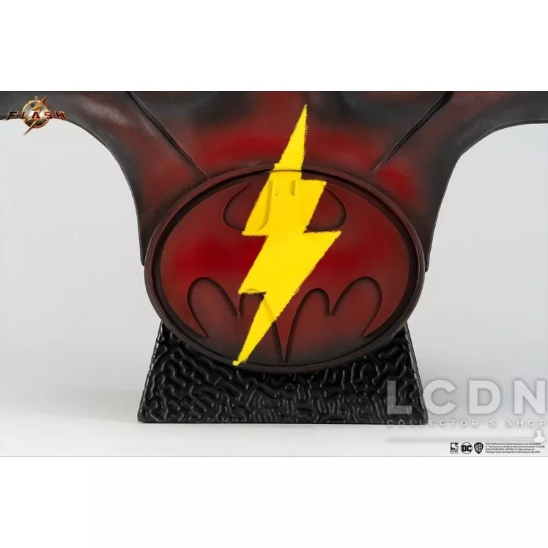 DC Comics Replica 1/1 Young Barry Cowl 55cm