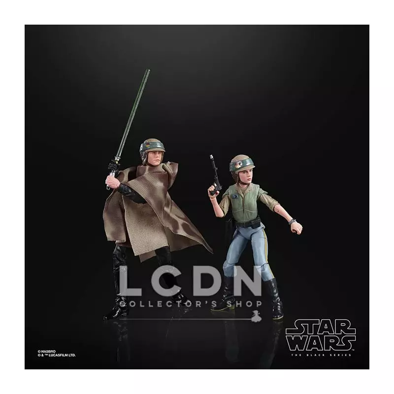 Black series heroes of endor sale