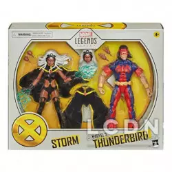 Marvel Legends Pack de 2 Action Figurines Storm & Marvel's Thunderbird 15cm