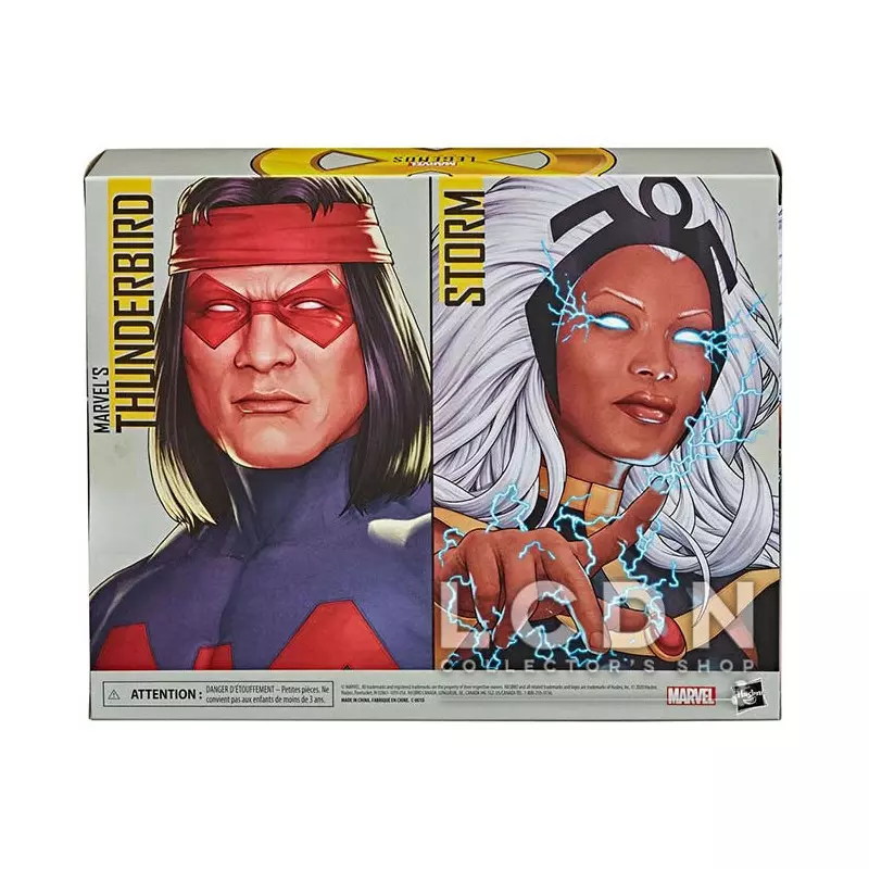 Marvel Legends Pack de 2 Action Figurines Storm &amp; Marvel&#039;s Thunderbird 15cm
