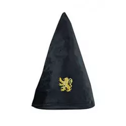 Harry Potter Student Hat...