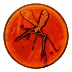 Jurassic Park collection de pin's et de médaillons Limited Edition