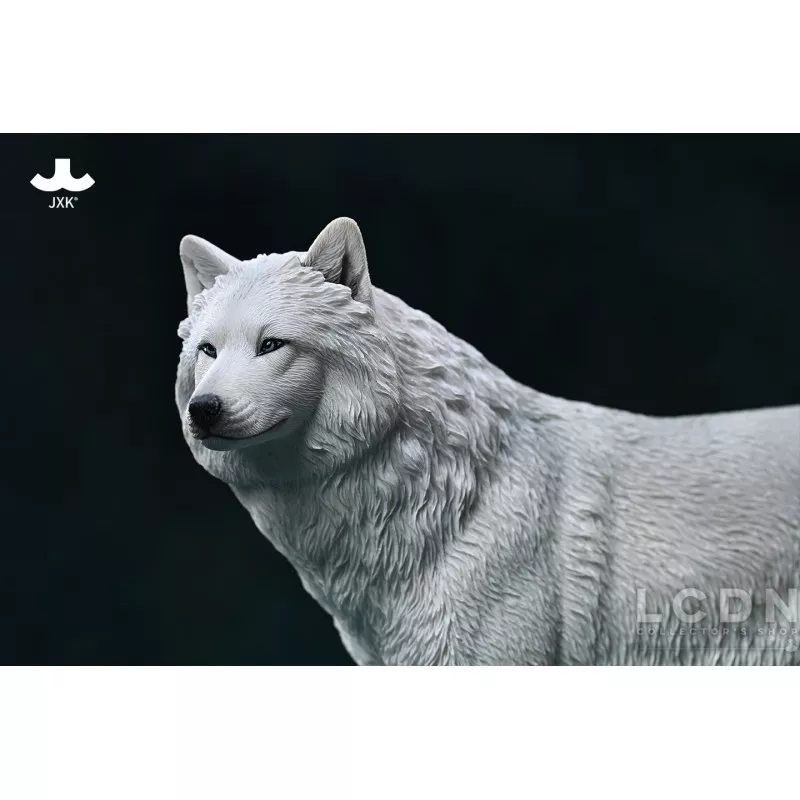 Arctic Wolf Loup arctique Blanc Dracula Figurine 1/6 JXK  JXK194C