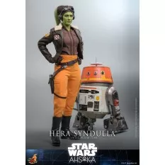 Hot Toys TMS113 Star Wars: Ahsoka Collectible Action Figure 1/6 Hera Syndulla 30cm