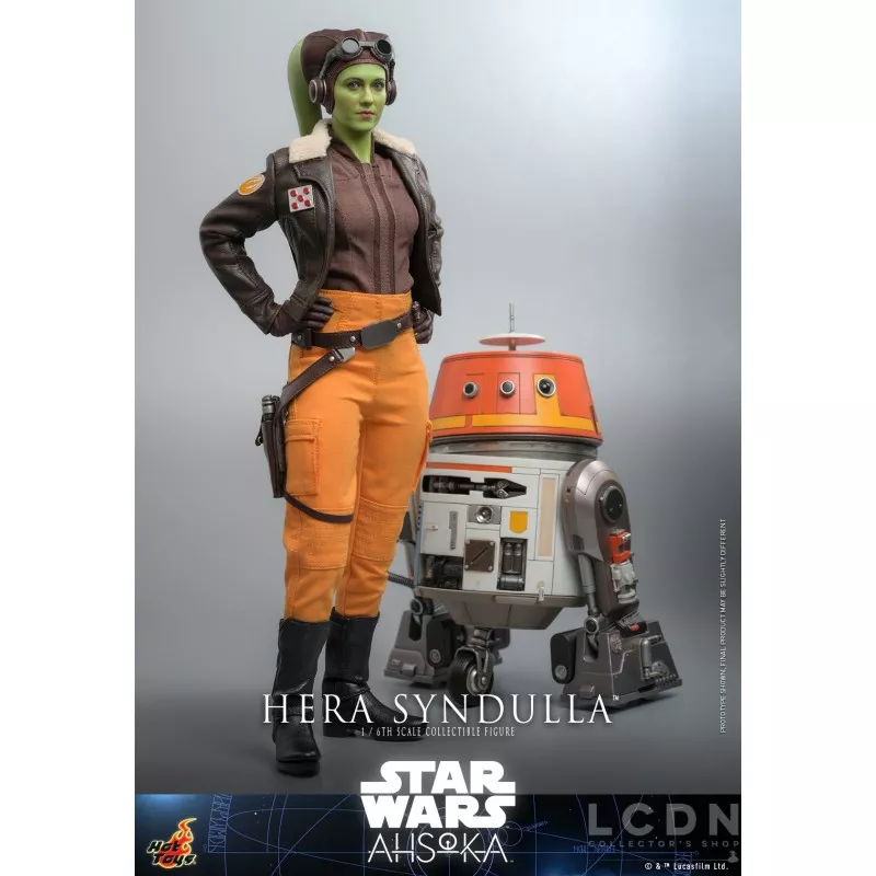 Hot Toys TMS113 Star Wars: Ahsoka Collectible Action Figure 1/6 Hera Syndulla 30cm