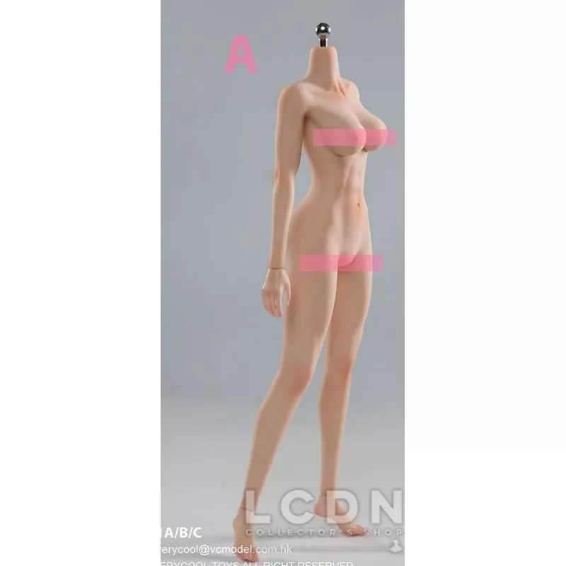 Corps Articulé Femme Silicone Poitrine Moyenne Pieds Détachables Peau  Blanche/Rose VERYCOOL VCD-01A 1/6