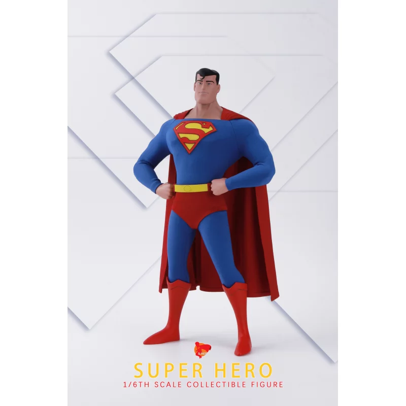 Animated Super Hero Collectible Action Figurine 1/6 S-HERO SH004