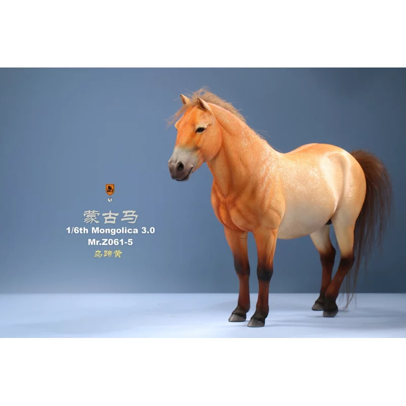 Cheval mongol Mongolica Horse Figurine 1/6 Mr.Z Model Studio MR.Z061-5