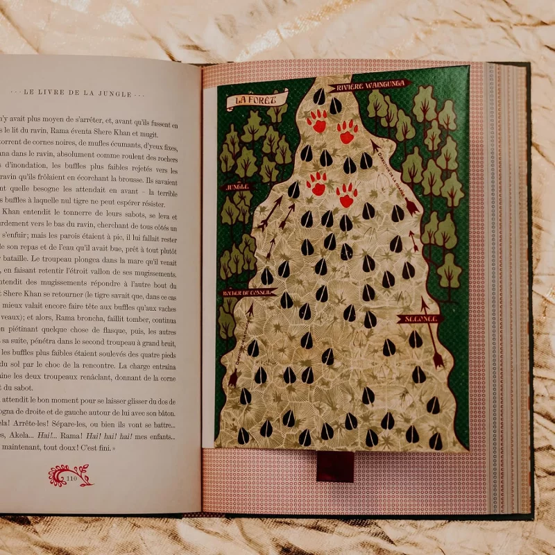 Le Livre de la Jungle Livre Illustration par Minalima *Français*
