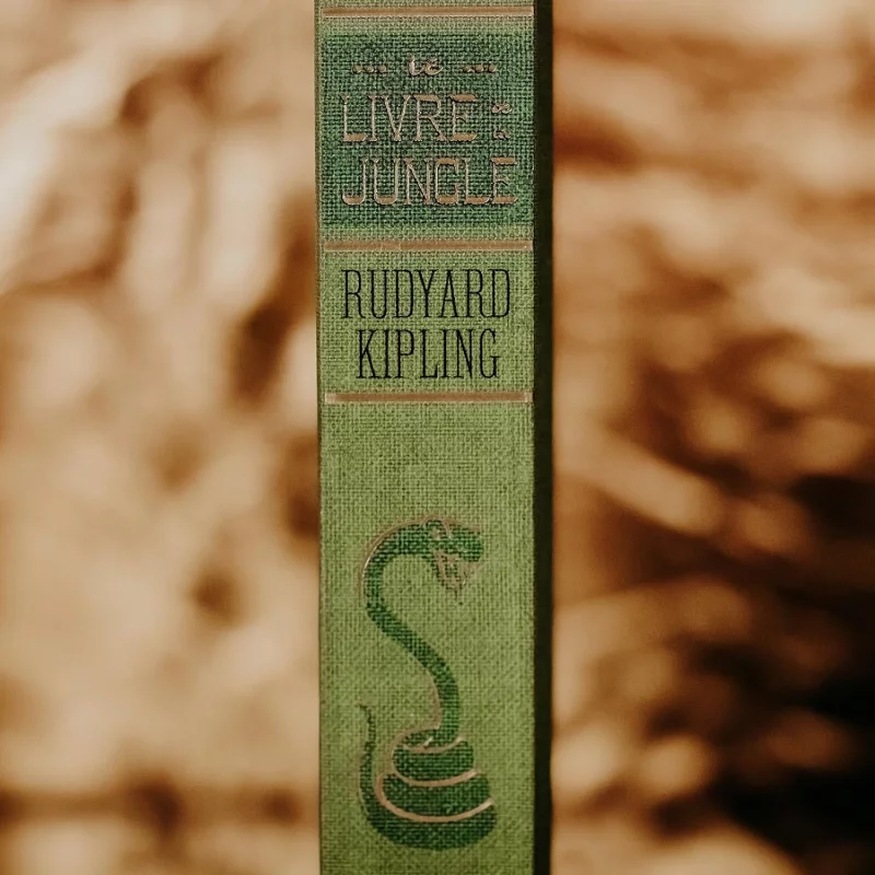 Le Livre de la Jungle Livre Illustration par Minalima *Français*