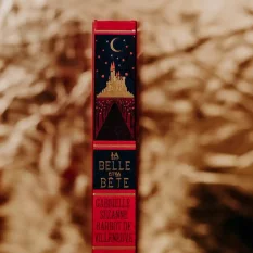La Belle et la Bête Livre Illustration par Minalima *Français*
