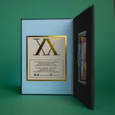 Hunter X Hunter Livret Replique Licence Hunter 2 Etoiles Ging Freecs 15cm