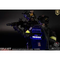 Russian Spetsnaz Mvd Sobr Granit Special Edition Collectible Action Figurine 1/6 78103 DAMTOYS