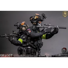 Russian Spetsnaz Mvd Sobr Granit Special Edition Collectible Action Figurine 1/6 78103 DAMTOYS