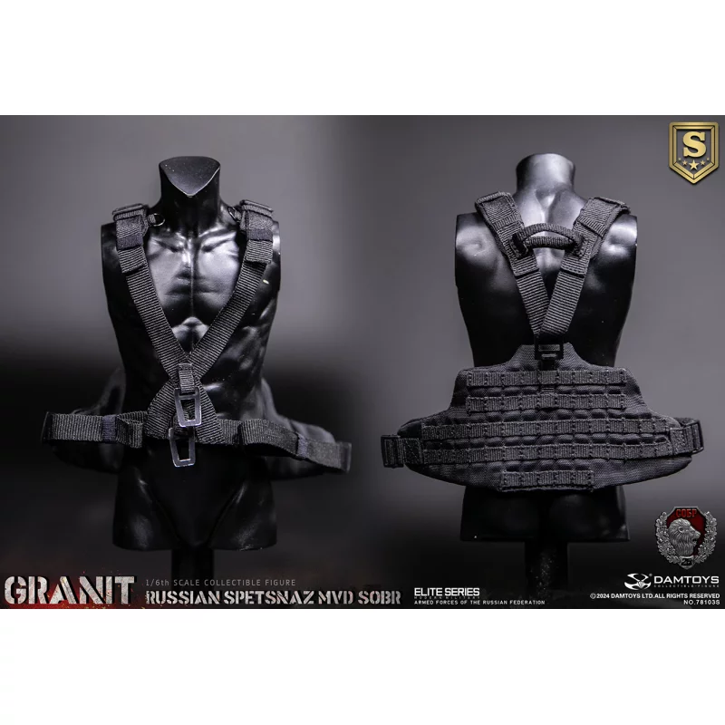 Russian Spetsnaz Mvd Sobr Granit Special Edition Collectible Action Figurine 1/6 78103 DAMTOYS