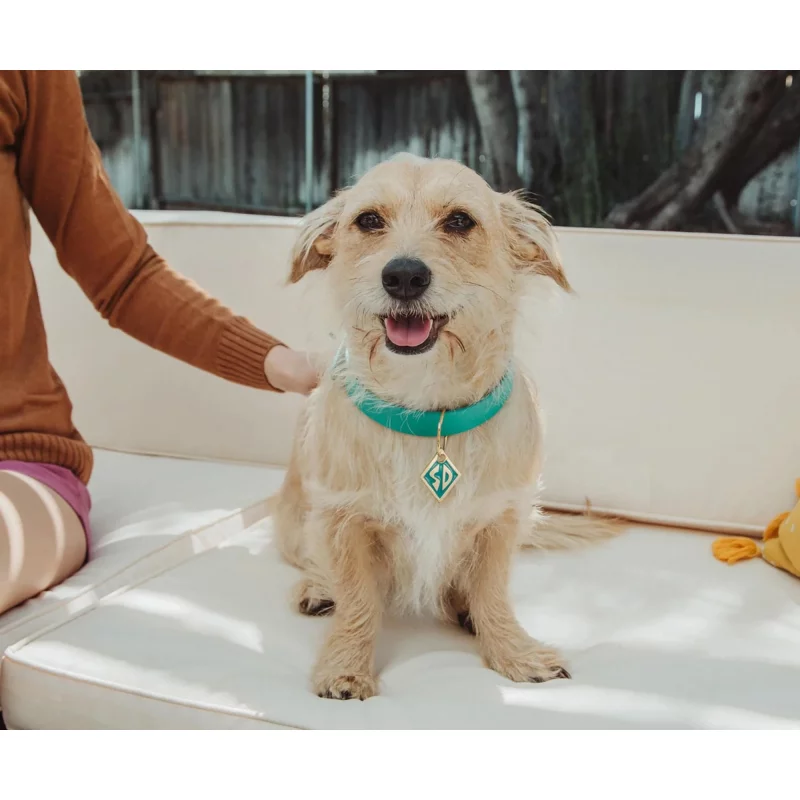 Scooby Doo Replica Choker Scooby Doo