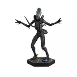 Alien Xenomorph 1/16 Statue...