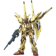 NG Gundam Maquette 1/100 Seed Destiny Akatsuki Gundam Oowashi/Shiranui Fullset n°15