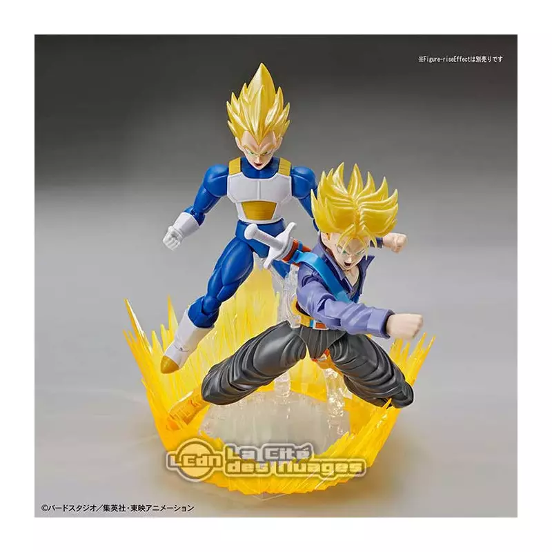 Trunks model cheap kit