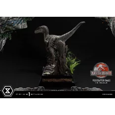 Jurassic Park III Statue 1/6 Velociraptor Female Bonus Version 44cm