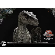 Jurassic Park III Statue 1/6 Velociraptor Female Bonus Version 44cm