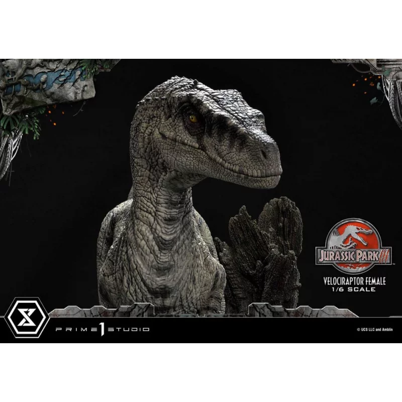 Jurassic Park III Statue 1/6 Velociraptor Female Bonus Version 44cm