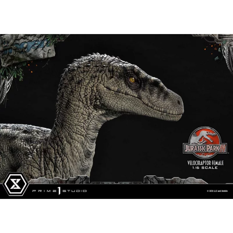 Jurassic Park III Statue 1/6 Velociraptor Female Bonus Version 44cm