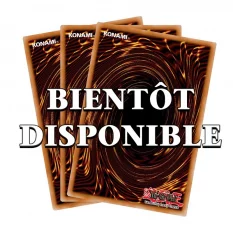 Yu-Gi-Oh! TCG Boite du 25e...